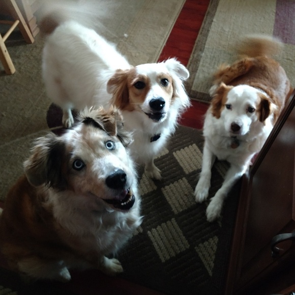 Meet your Posher, Tina - Picture 2 of 6